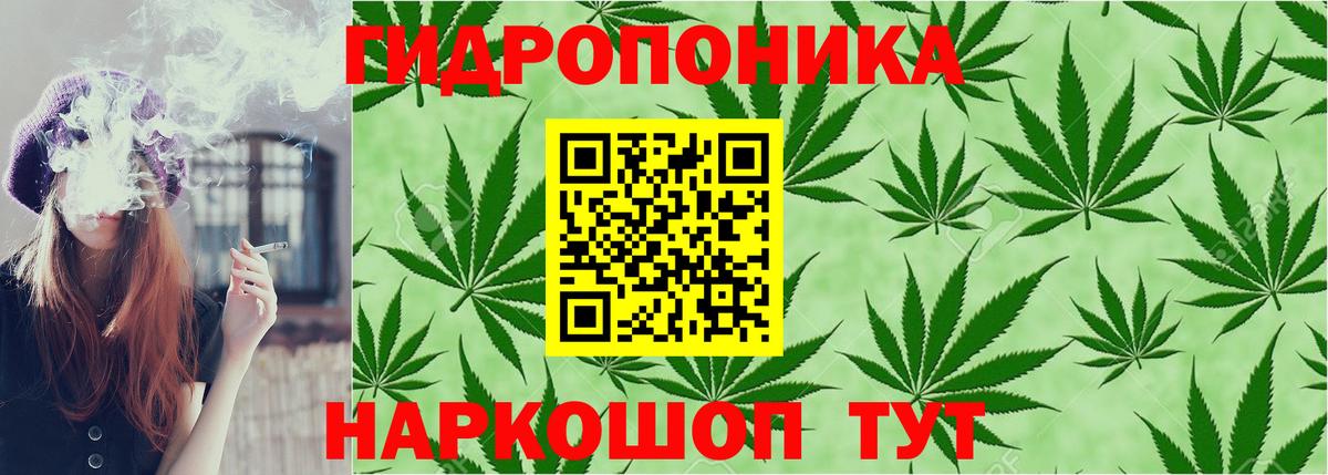 Марихуана Amnesia  Вход с VPN  Шишки марихуана индика  Златоуст  Марихуана White Widow  Каннабис LSD WEED 
